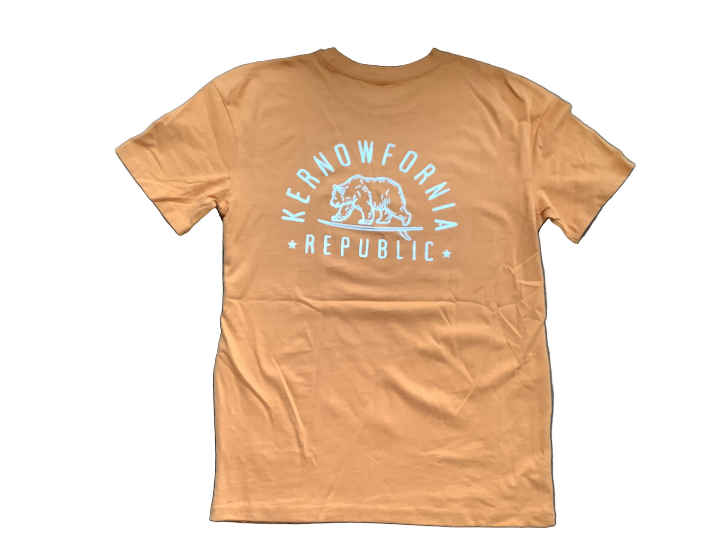 Kernowfornia Republic Surfing Bear T-shirt